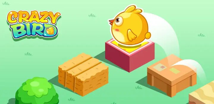 Crazy Bird